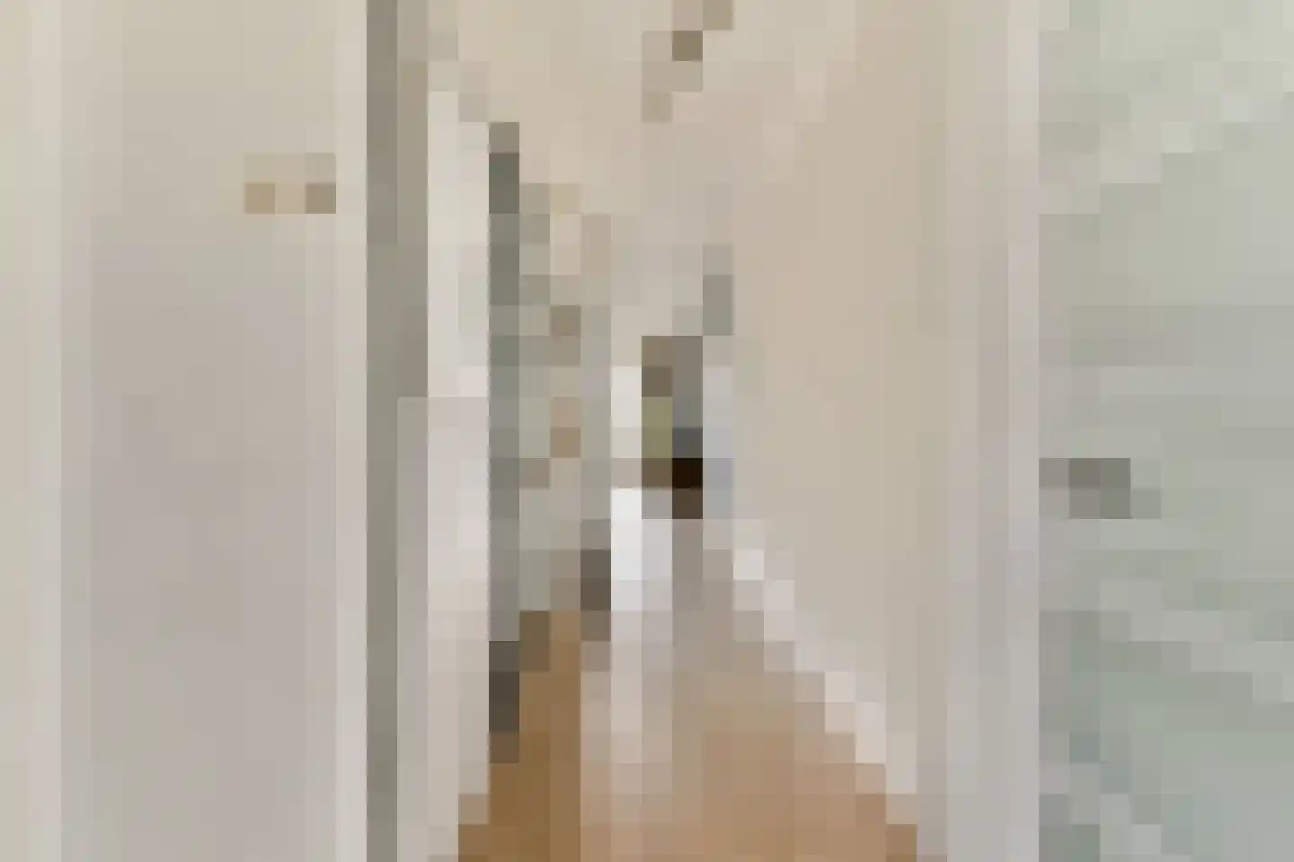 Bazuinlaan 73 Rijswijk thumbnail 6