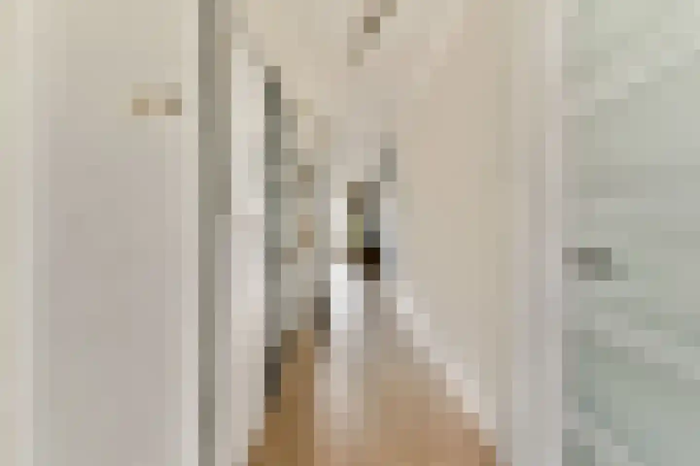Bazuinlaan 73 Rijswijk thumbnail 8