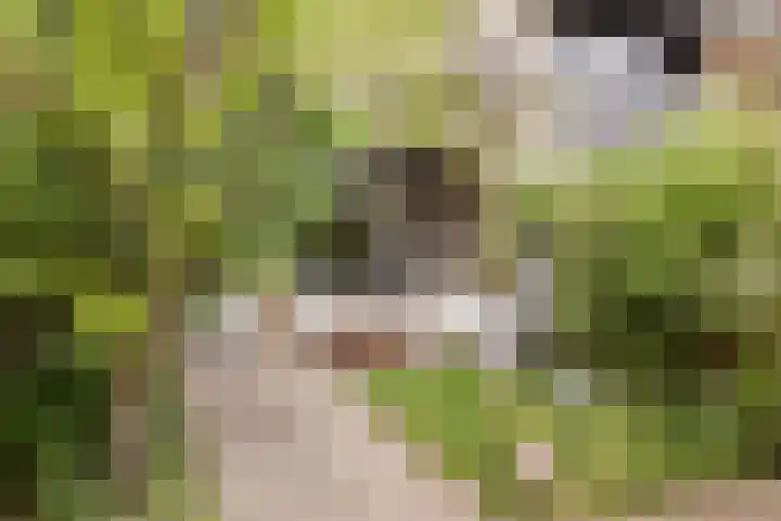 Bazuinlaan 87 Etten-Leur thumbnail 32