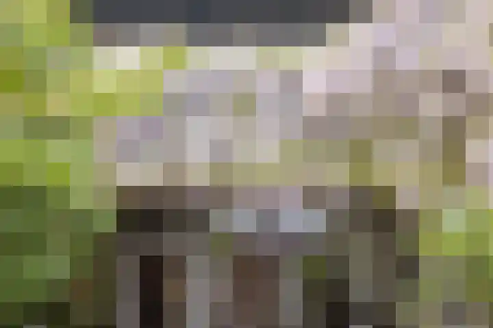 Bazuinlaan 87 Etten-Leur thumbnail 33