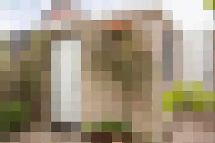 Bazuinlaan 87 Etten-Leur thumbnail 38
