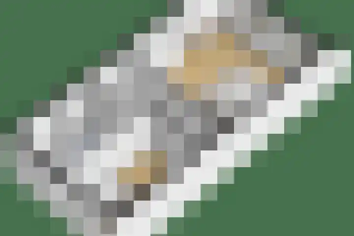 Bazuinlaan 87 Etten-Leur thumbnail 43