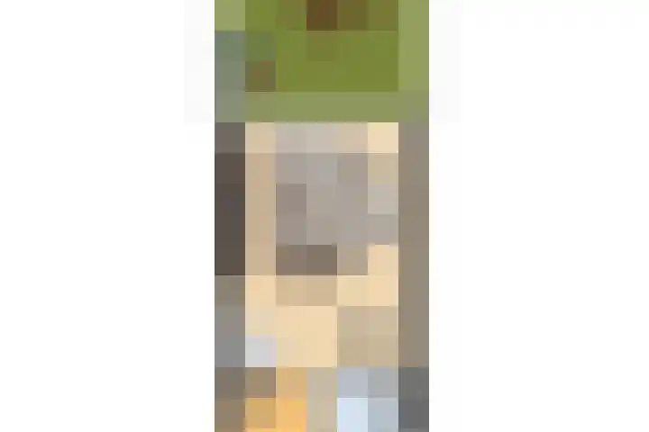 Bazuinlaan 87 Etten-Leur thumbnail 46