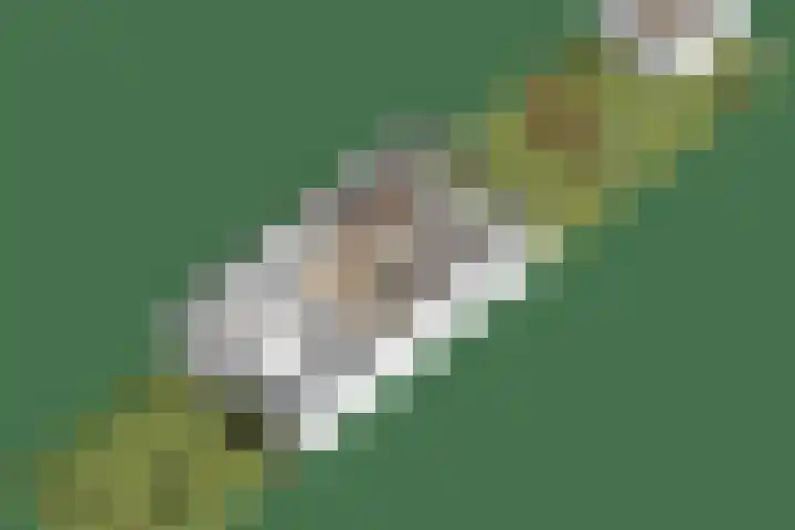 Bazuinlaan 87 Etten-Leur thumbnail 47