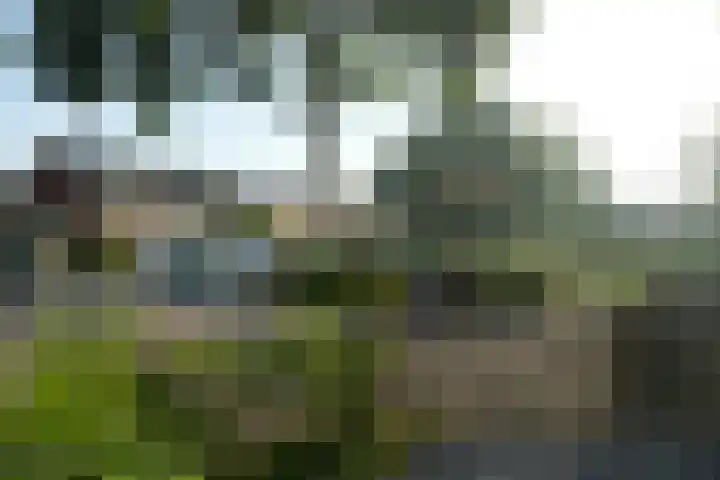 Bazuinstraat 1 Arkel thumbnail 13