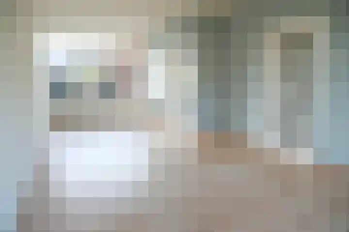 Bazuinstraat 1 Arkel foto 3