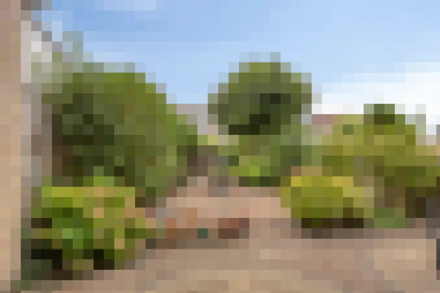 Bazuinstraat 14 Purmerend thumbnail 23