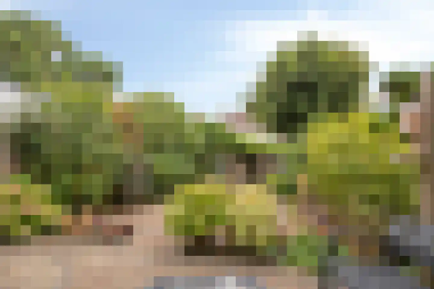 Bazuinstraat 14 Purmerend thumbnail 24