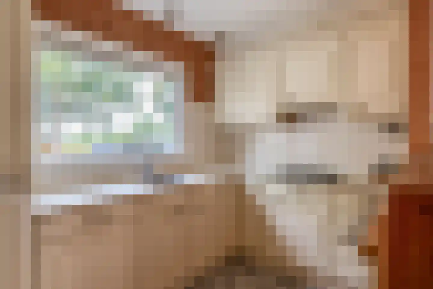Bazuinstraat 20 Spijkenisse thumbnail 19