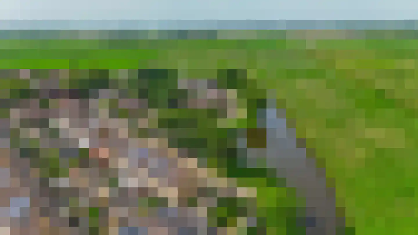 Bazuinstraat 20 Spijkenisse thumbnail 33