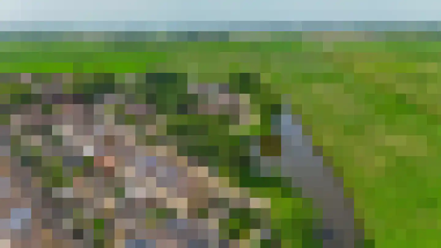 Bazuinstraat 20 Spijkenisse thumbnail 33