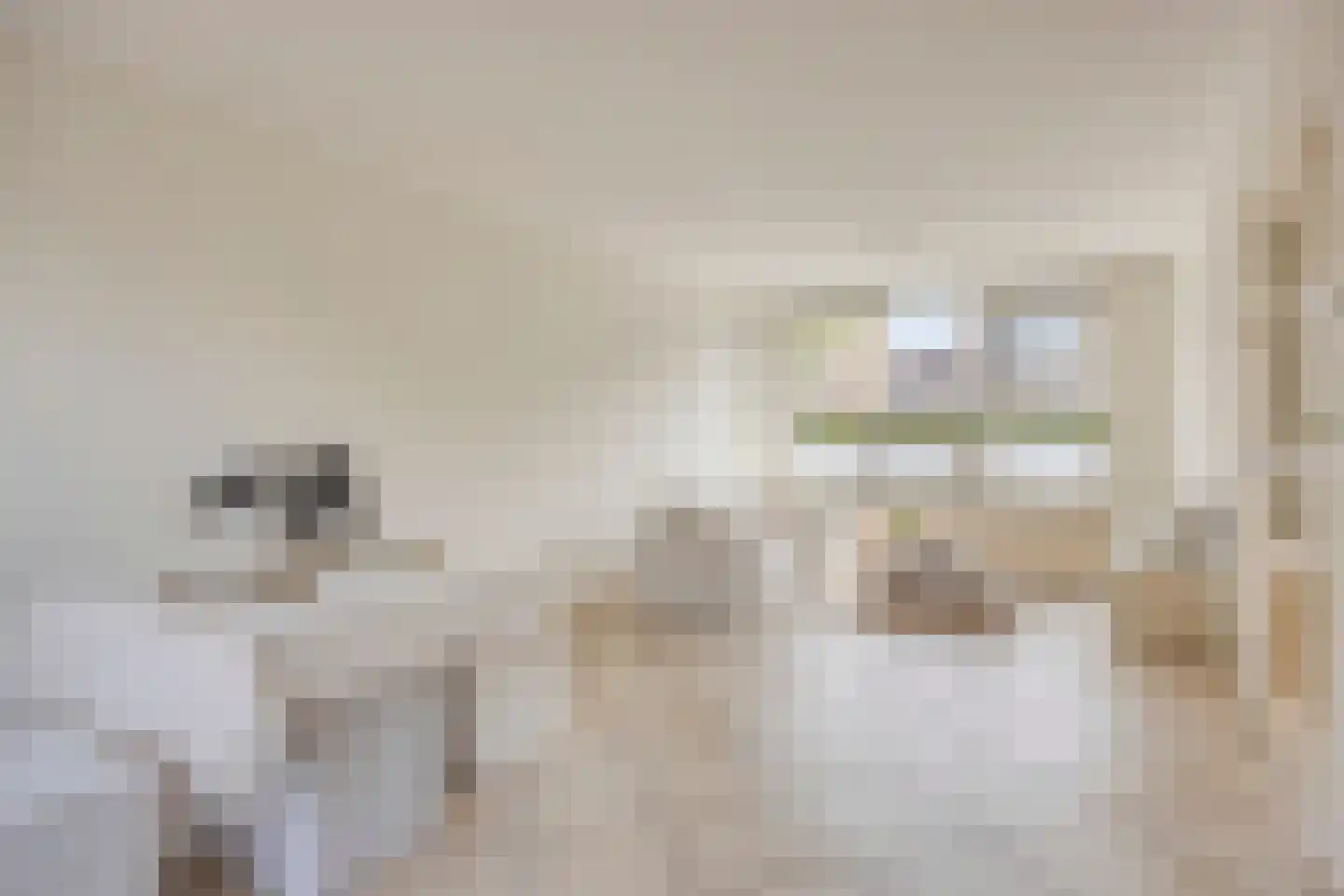 Bazuinstraat 23 Purmerend thumbnail 10