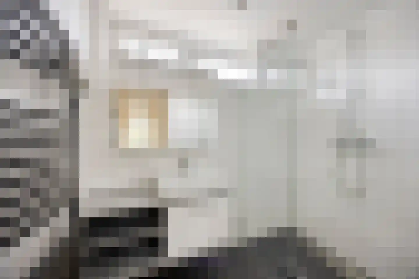Bazuinstraat 23 Purmerend thumbnail 21