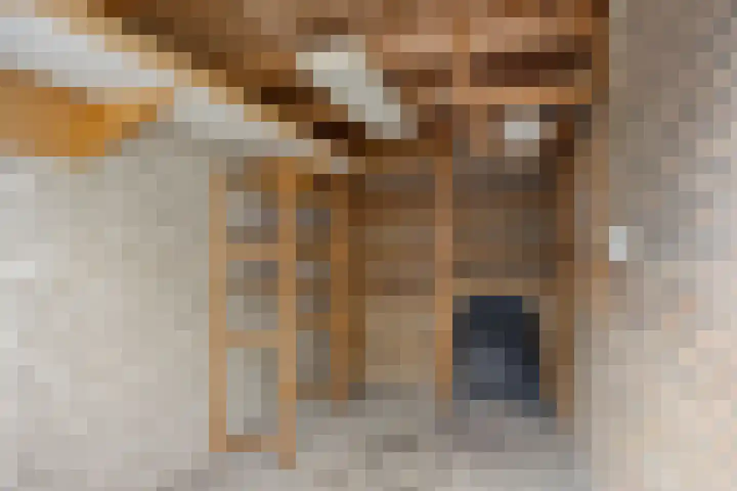 Bazuinstraat 23 Purmerend thumbnail 33