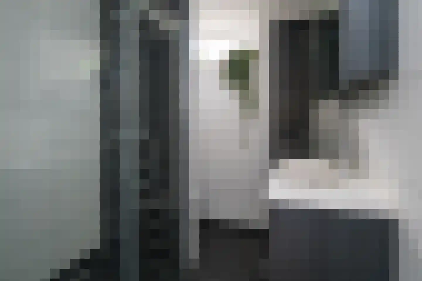 Bazuinstraat 24 Arkel thumbnail 22