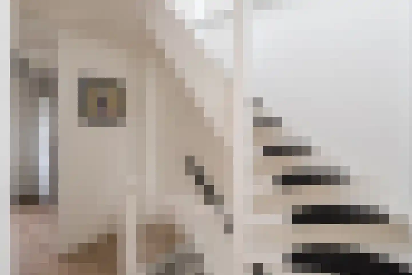Bazuinstraat 24 Arkel thumbnail 25