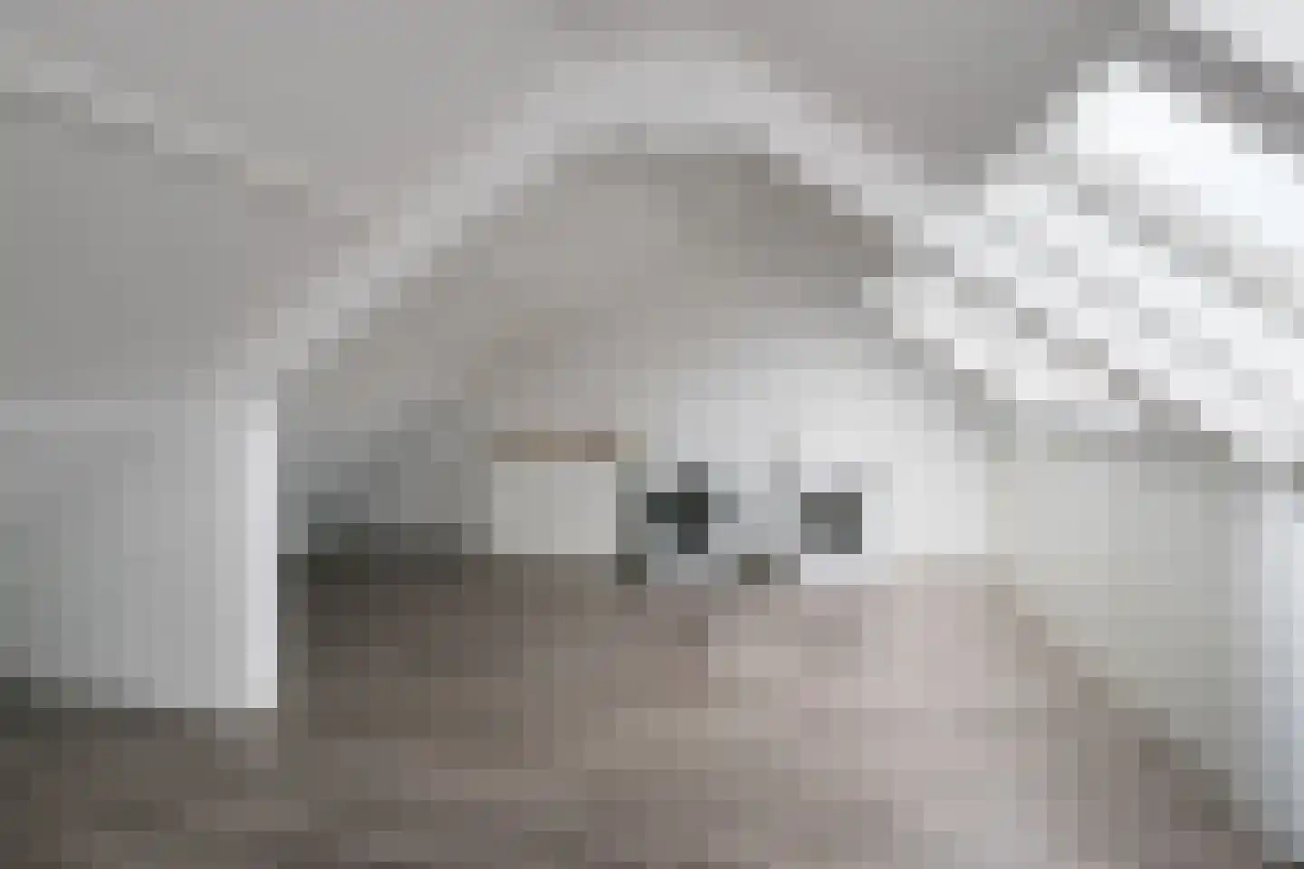 Bazuinstraat 24 Arkel thumbnail 26