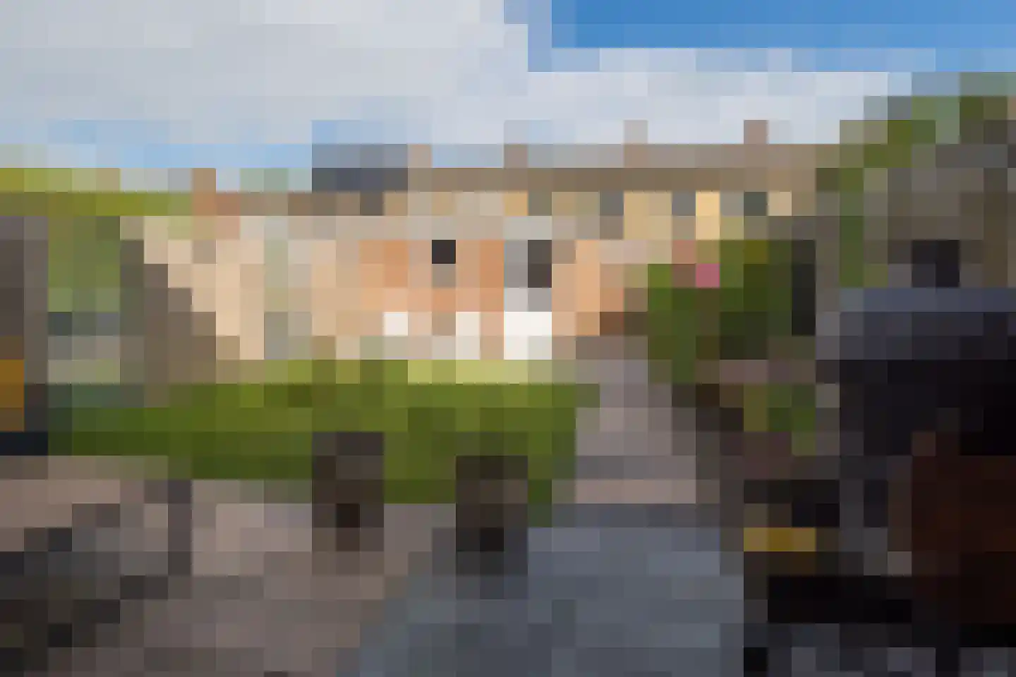 Bazuinstraat 24 Arkel thumbnail 32