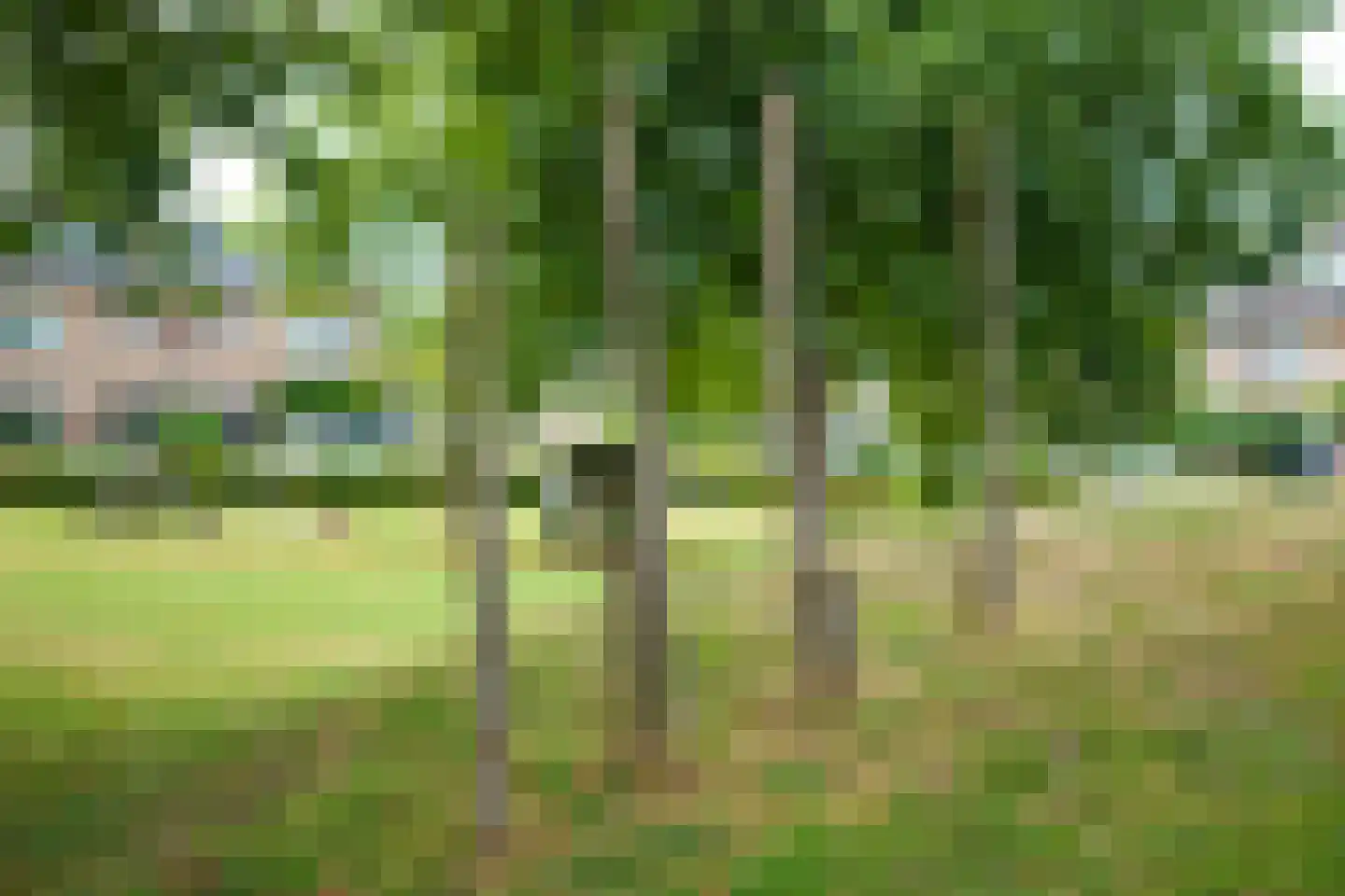 Bazuinstraat 24 Arkel thumbnail 35