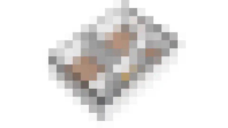 Bazuinstraat 24 Arkel thumbnail 43