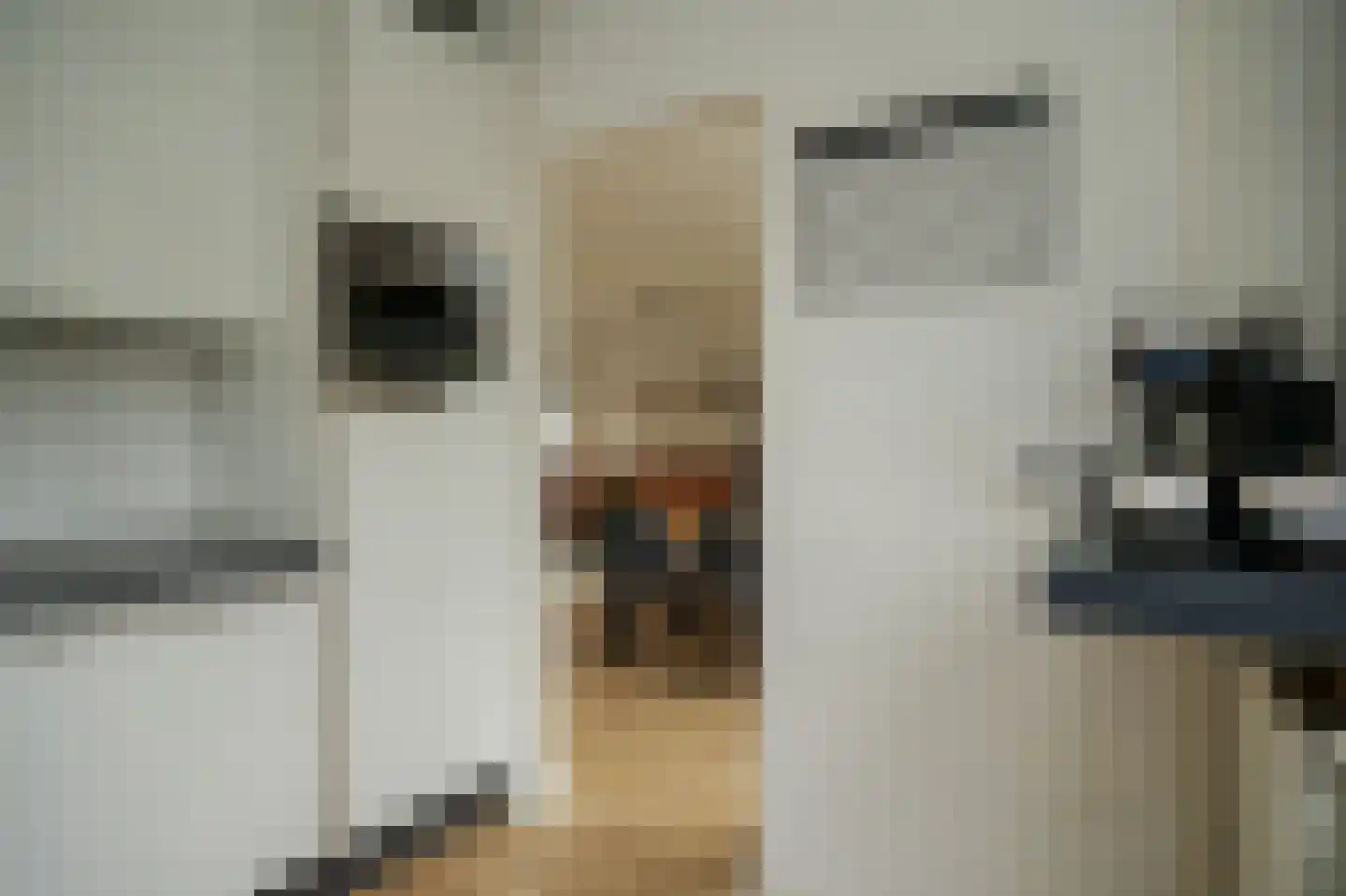 Bazuinstraat 26 Arkel thumbnail 18