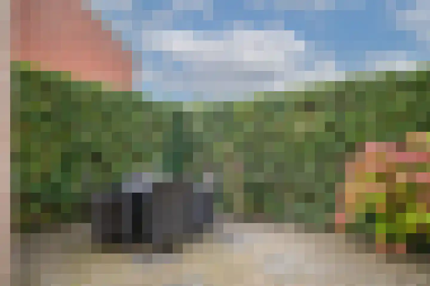Bazuinstraat 26 Arkel thumbnail 37