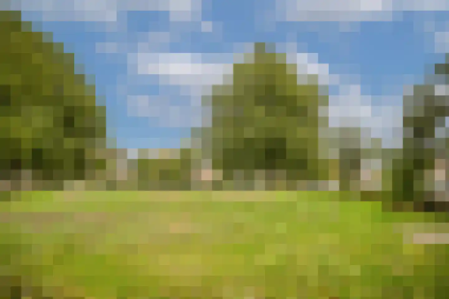 Bazuinstraat 26 Arkel thumbnail 41