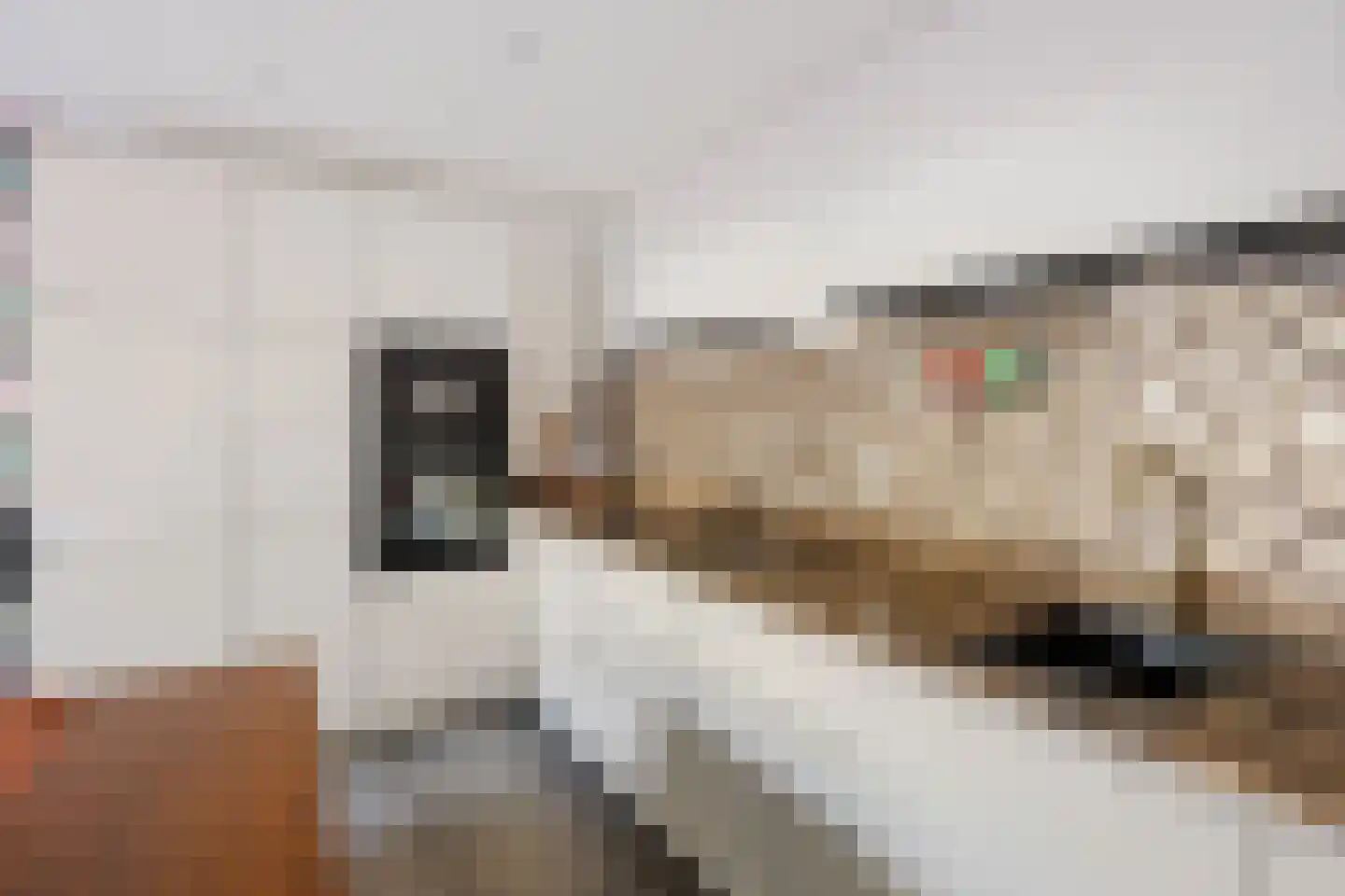 Bazuinstraat 27 Purmerend thumbnail 4