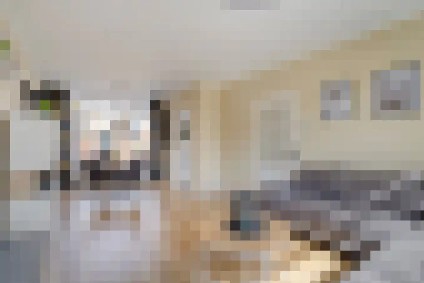Bazuinstraat 30 Arkel thumbnail 10