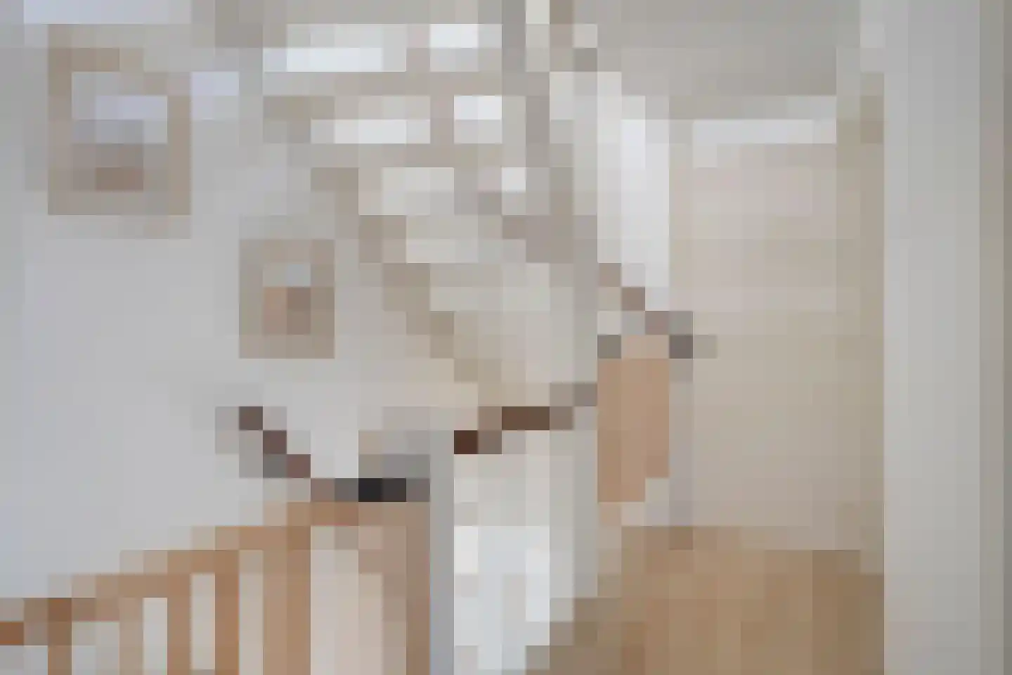 Bazuinstraat 30 Arkel thumbnail 20