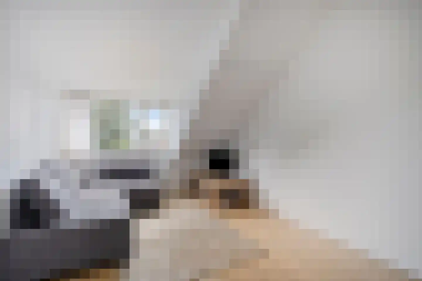 Bazuinstraat 30 Arkel thumbnail 34