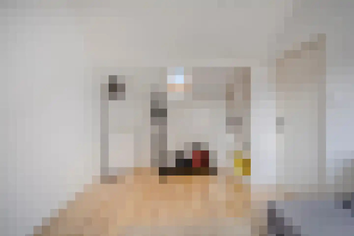 Bazuinstraat 30 Arkel thumbnail 35
