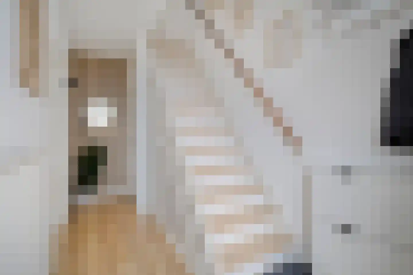 Bazuinstraat 30 Arkel thumbnail 8