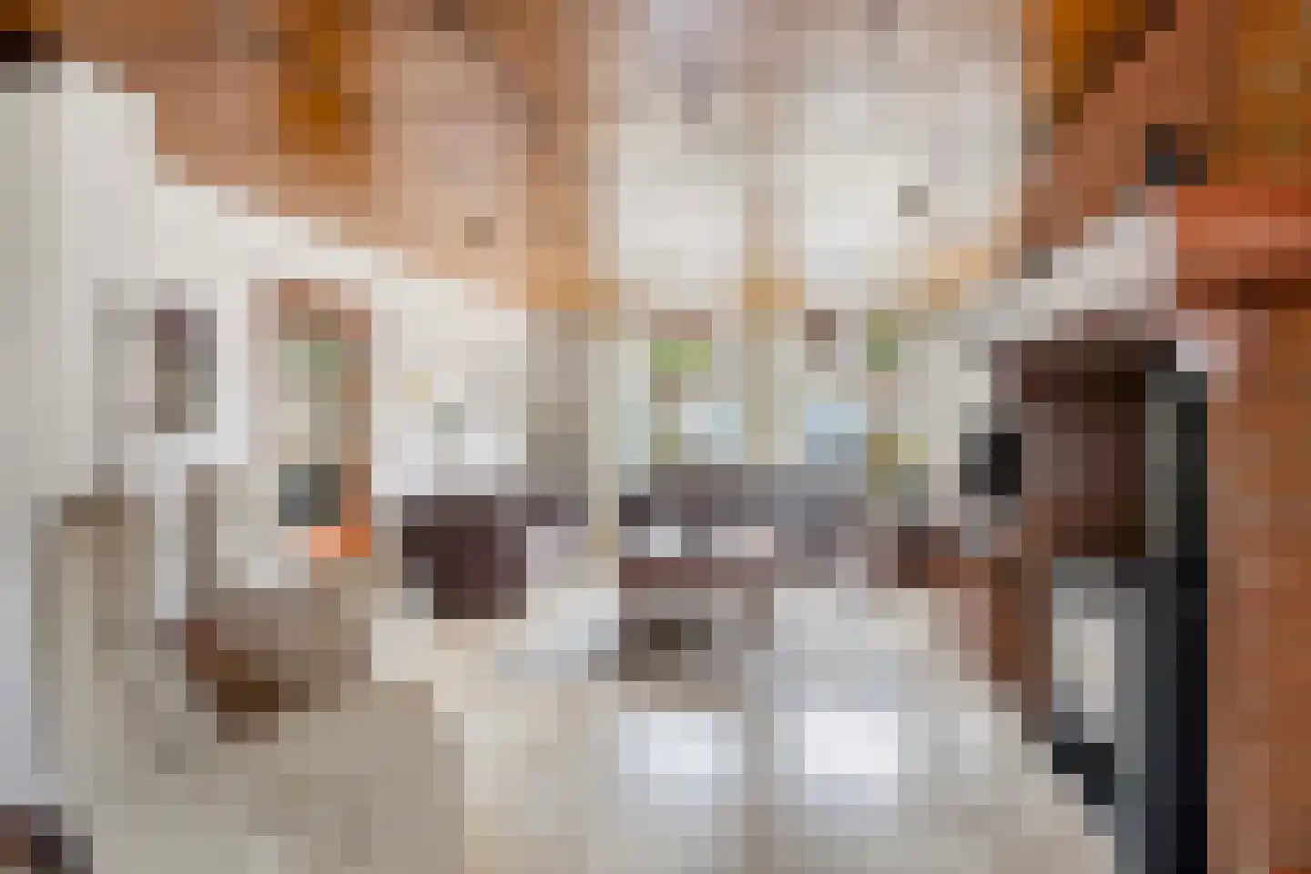 Bazuinstraat 4 Sint Hubert thumbnail 12