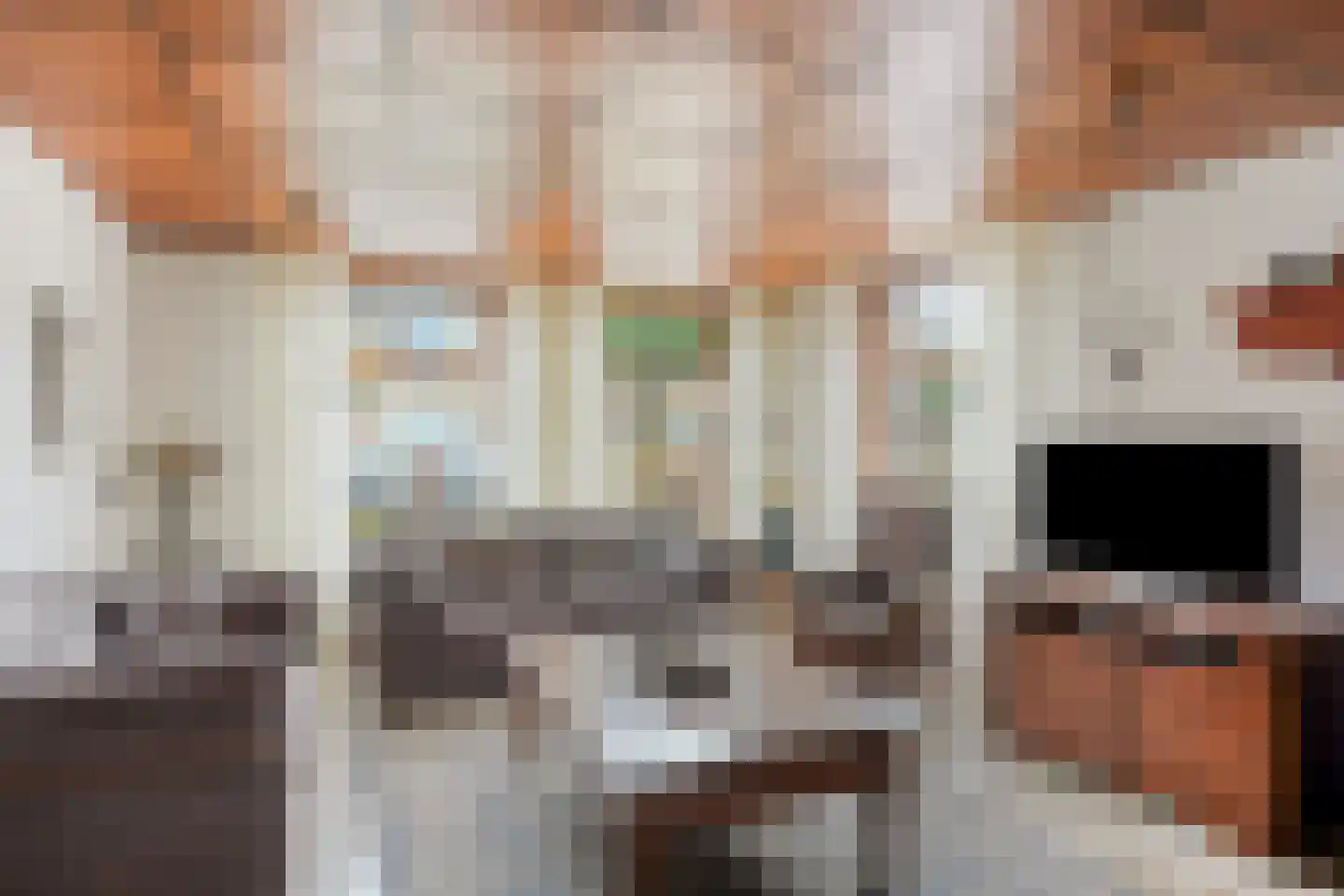 Bazuinstraat 4 Sint Hubert thumbnail 13