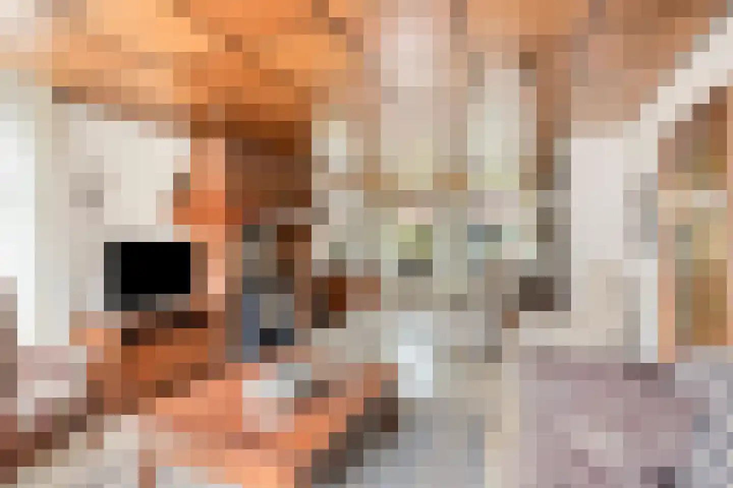 Bazuinstraat 4 Sint Hubert thumbnail 14