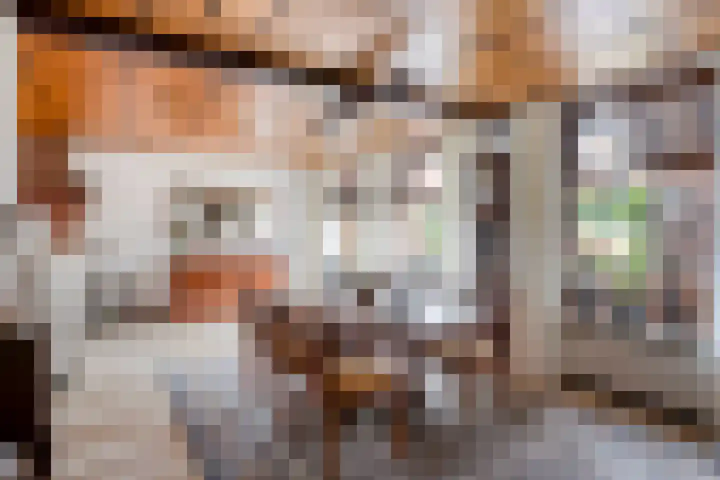 Bazuinstraat 4 Sint Hubert thumbnail 17