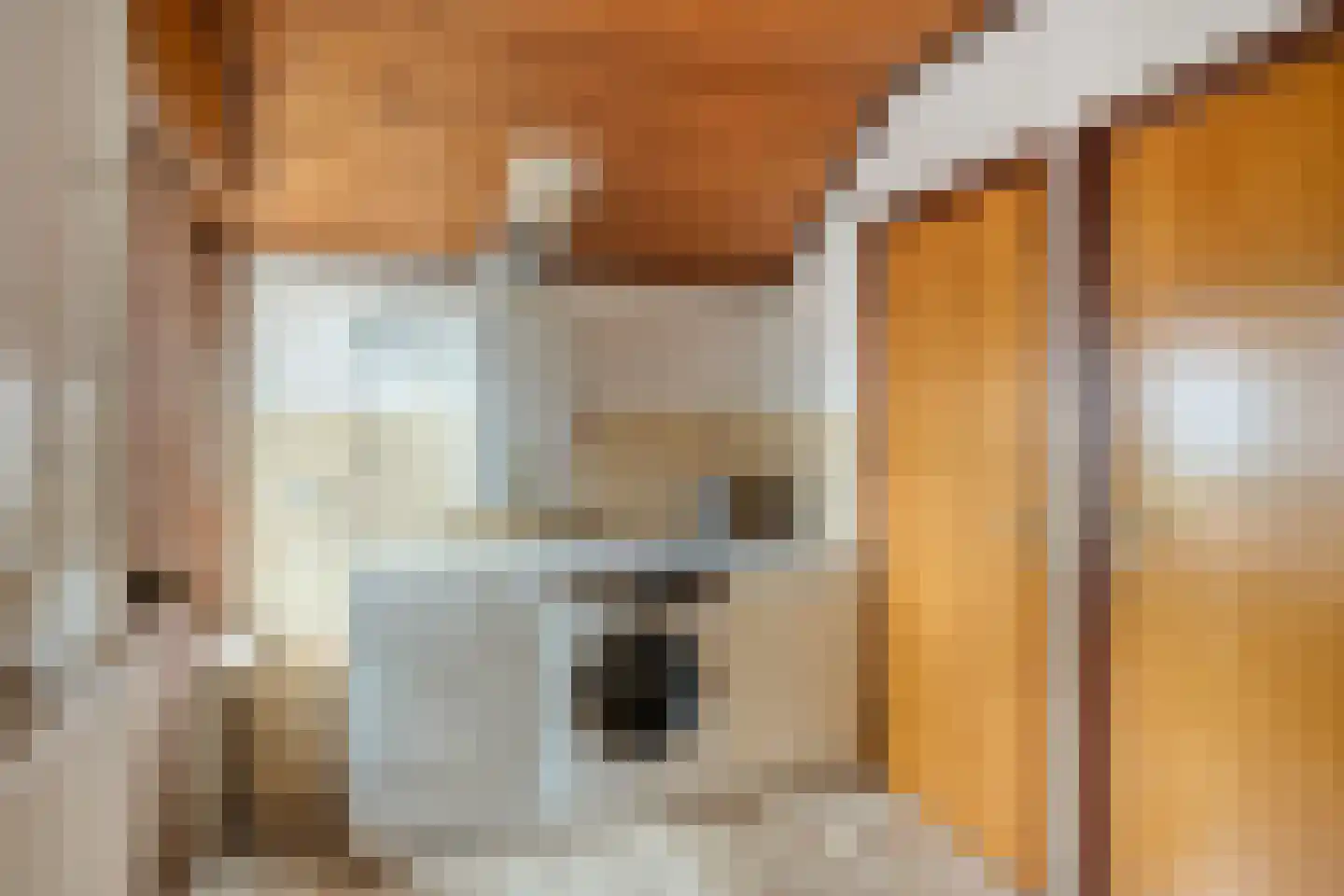 Bazuinstraat 4 Sint Hubert thumbnail 22