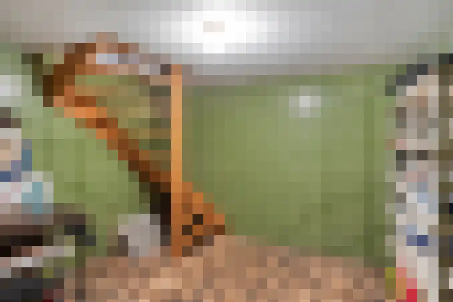 Bazuinstraat 4 Sint Hubert thumbnail 24