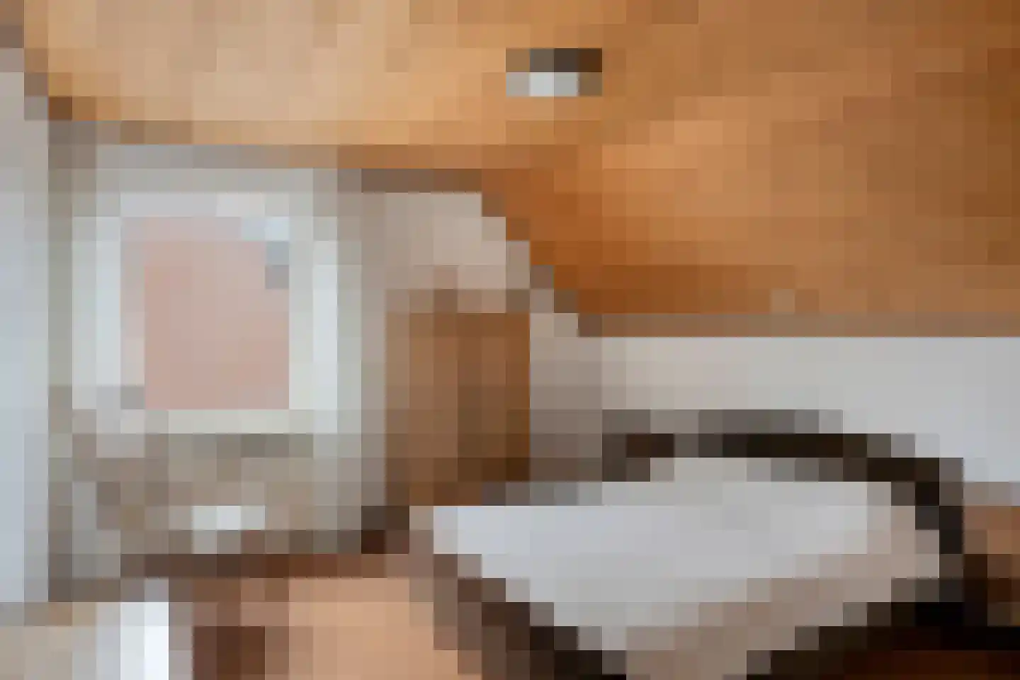 Bazuinstraat 4 Sint Hubert thumbnail 30