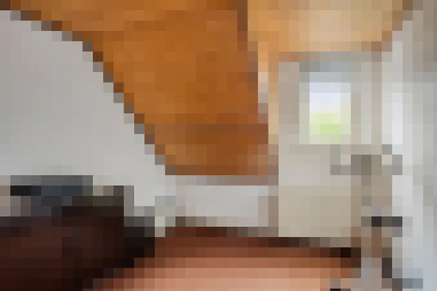 Bazuinstraat 4 Sint Hubert thumbnail 34