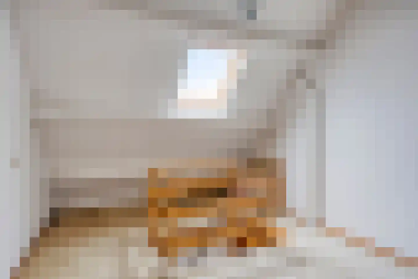 Bazuinstraat 4 Sint Hubert thumbnail 35