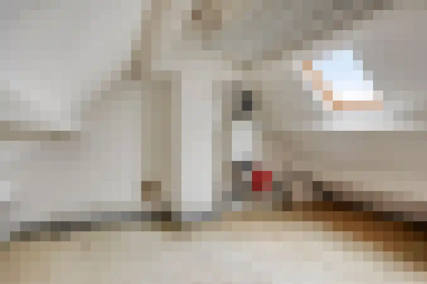 Bazuinstraat 4 Sint Hubert thumbnail 38