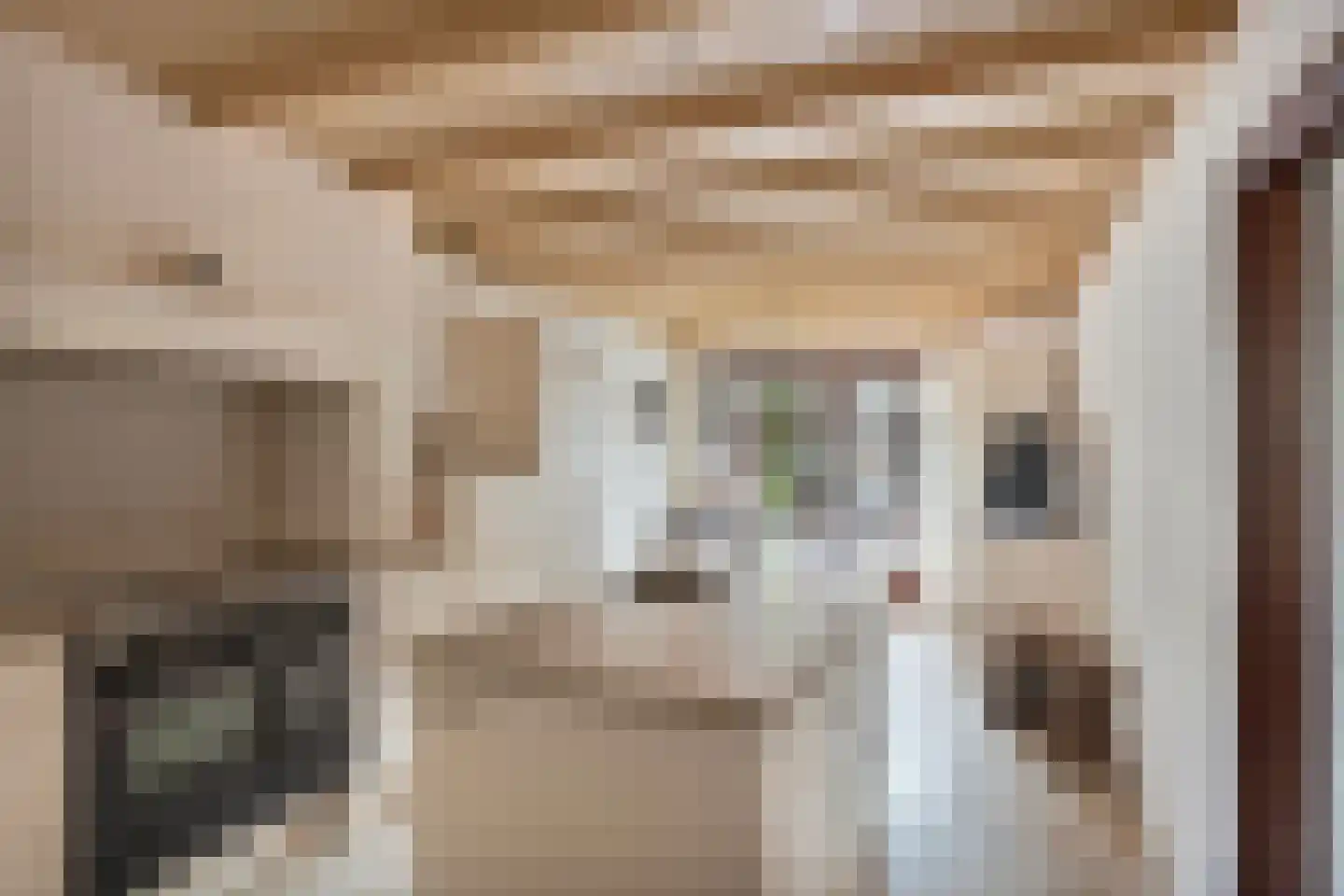 Bazuinstraat 4 Sint Hubert thumbnail 4