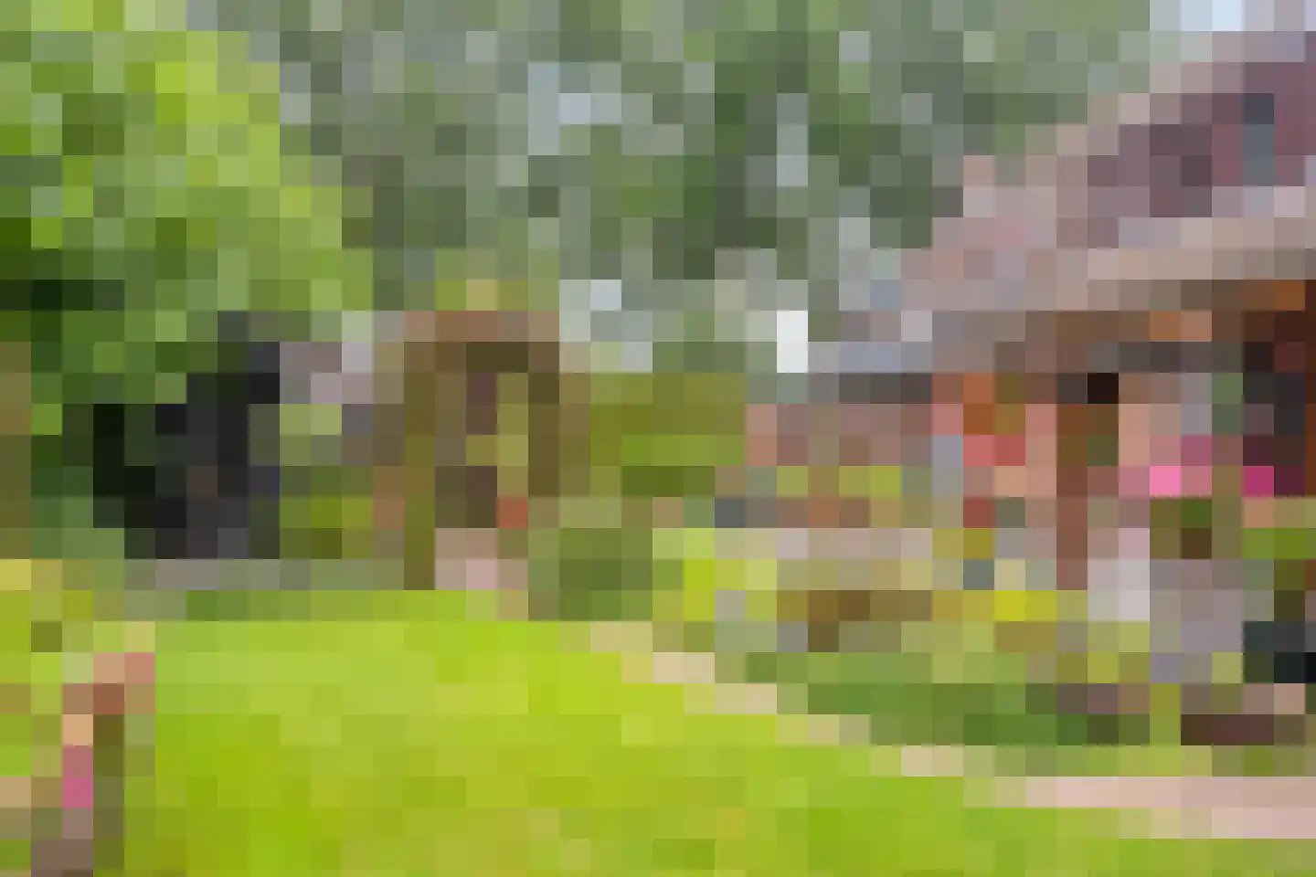 Bazuinstraat 4 Sint Hubert thumbnail 42