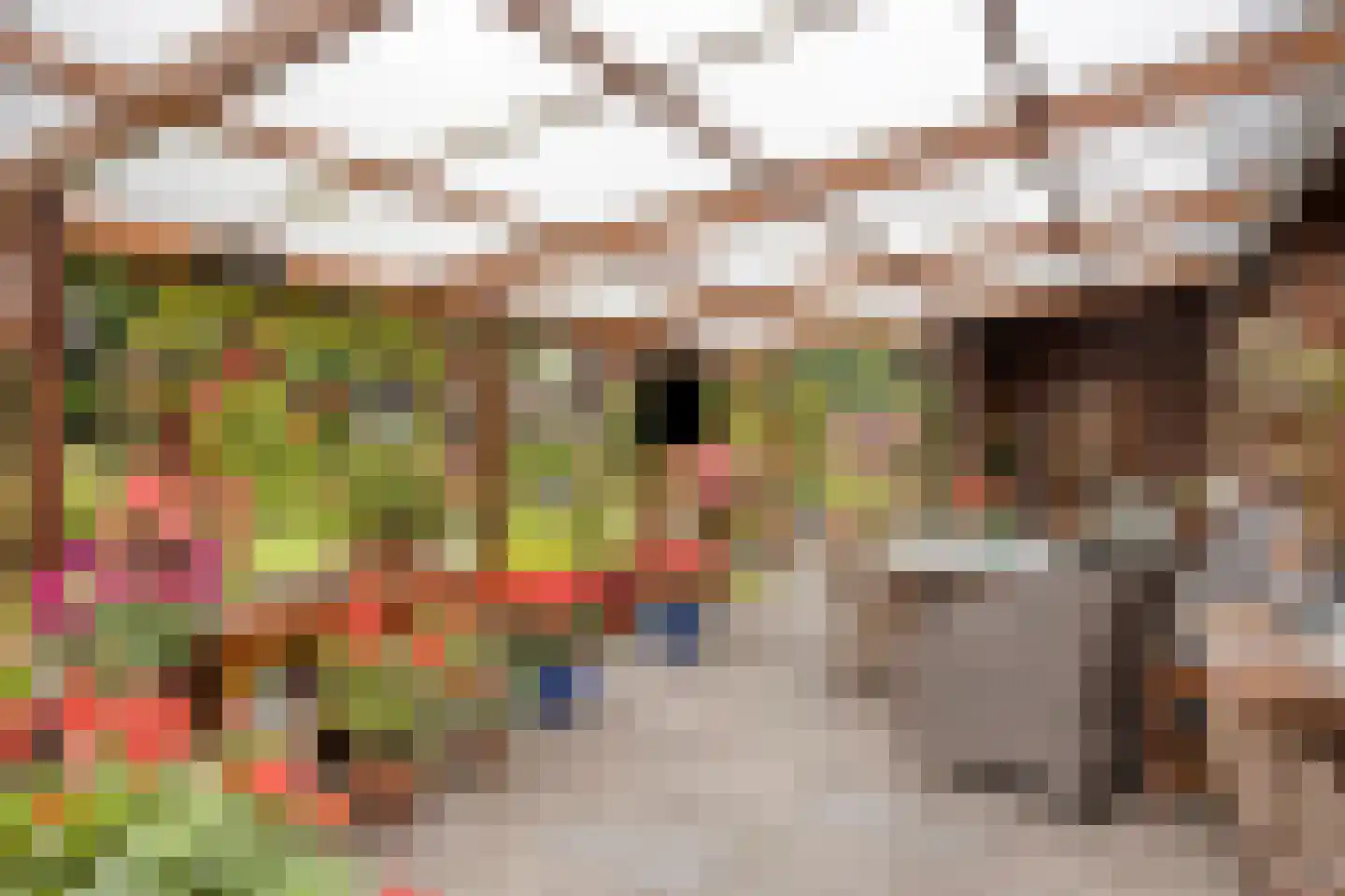 Bazuinstraat 4 Sint Hubert thumbnail 43