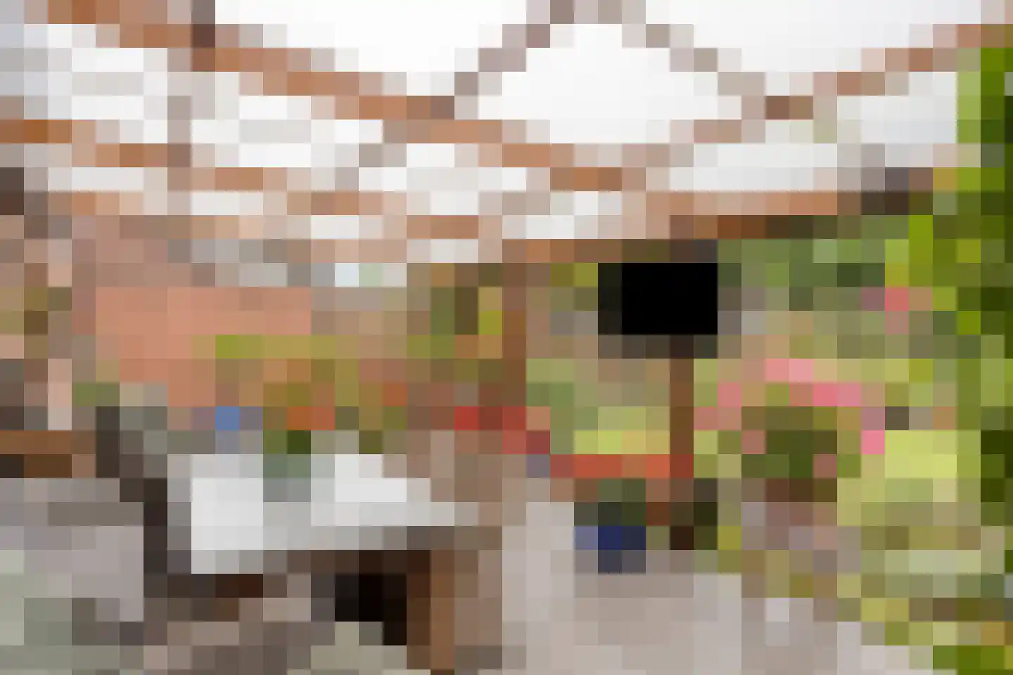 Bazuinstraat 4 Sint Hubert thumbnail 44