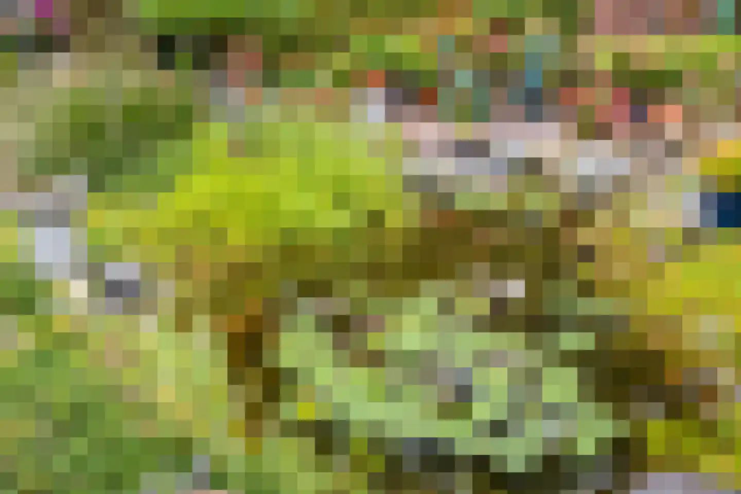 Bazuinstraat 4 Sint Hubert thumbnail 45