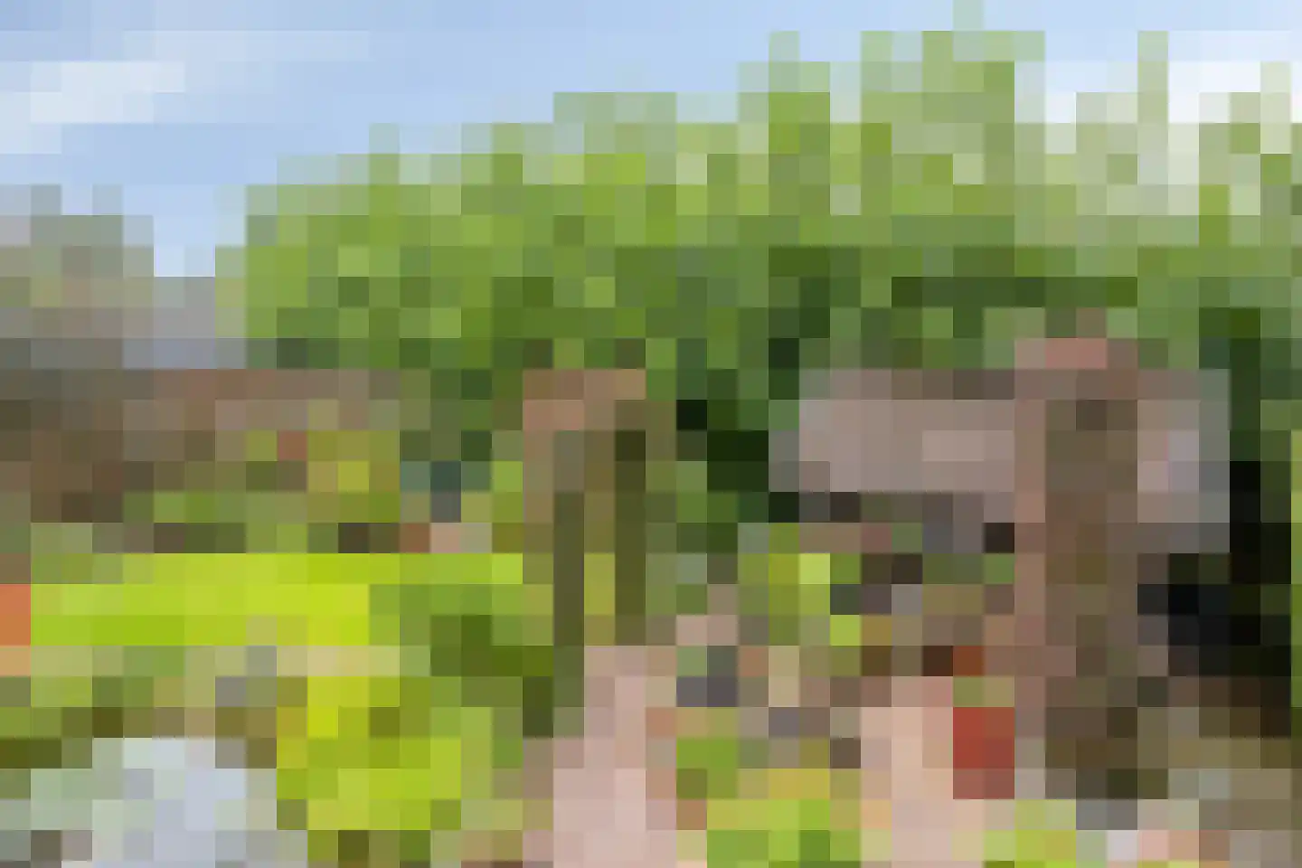 Bazuinstraat 4 Sint Hubert thumbnail 47