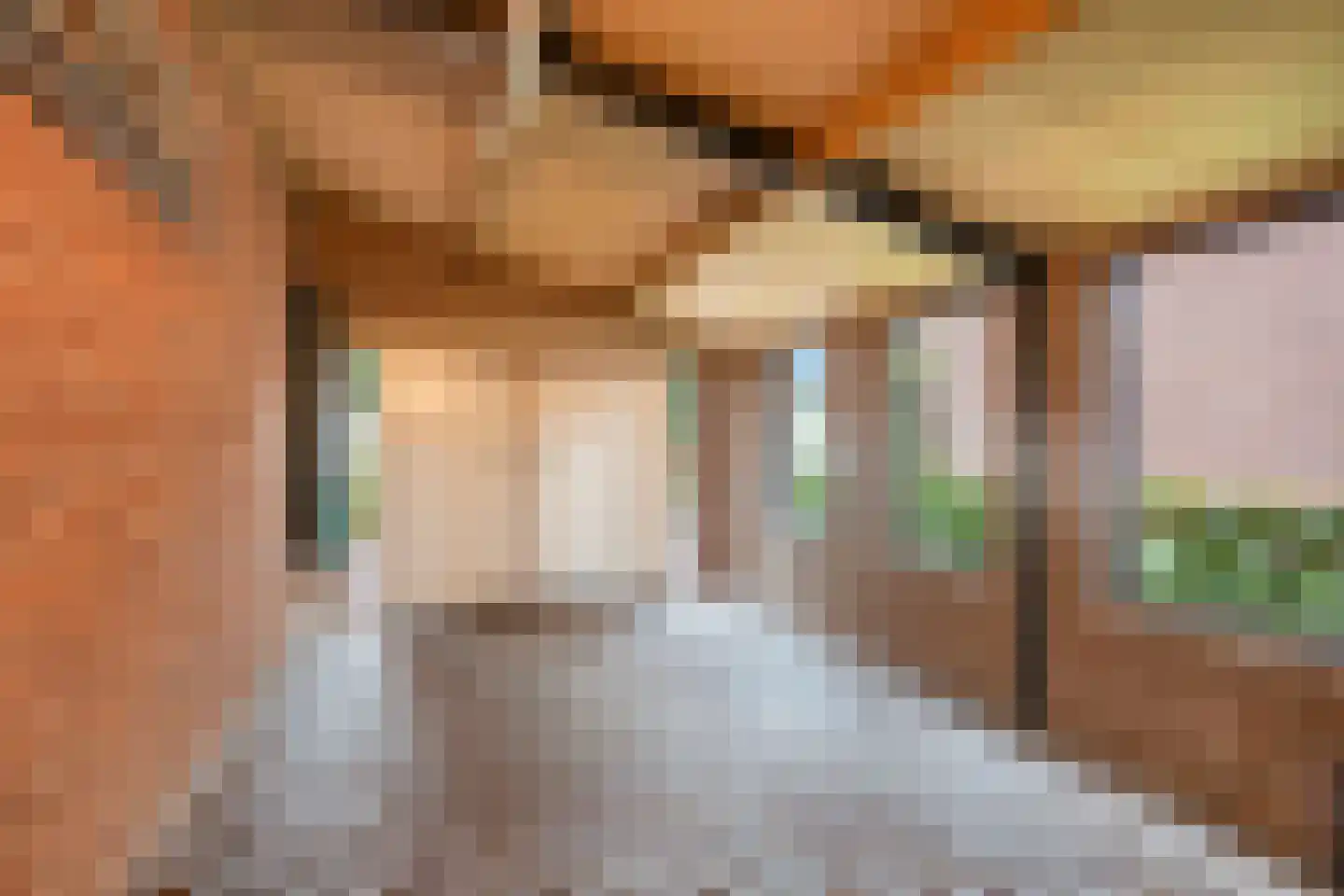 Bazuinstraat 4 Sint Hubert thumbnail 48